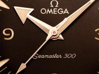 欧米茄手表机芯里面有划痕解决方法推荐